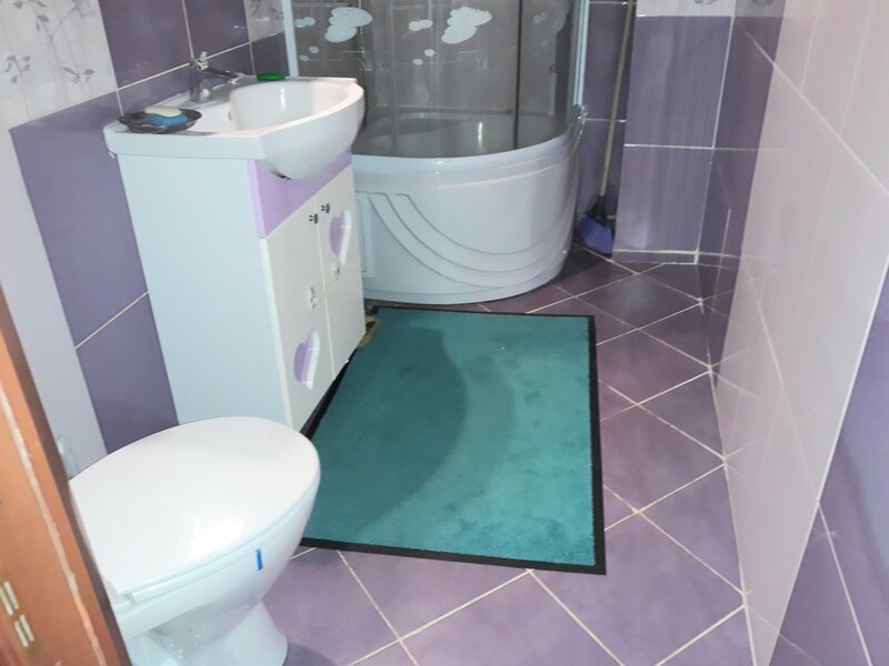 Colentina, Doamna Ghica, Parc Plumbuita, semistradal